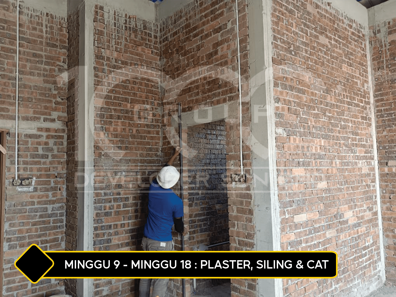 plaster siling cat u7u7u