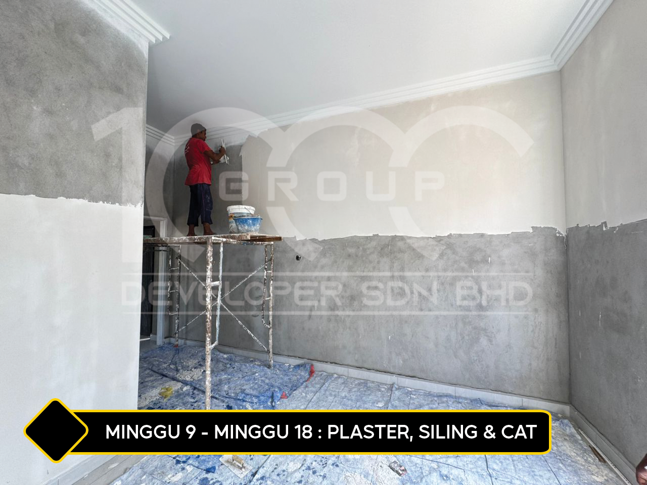 plaster siling cat nf 2