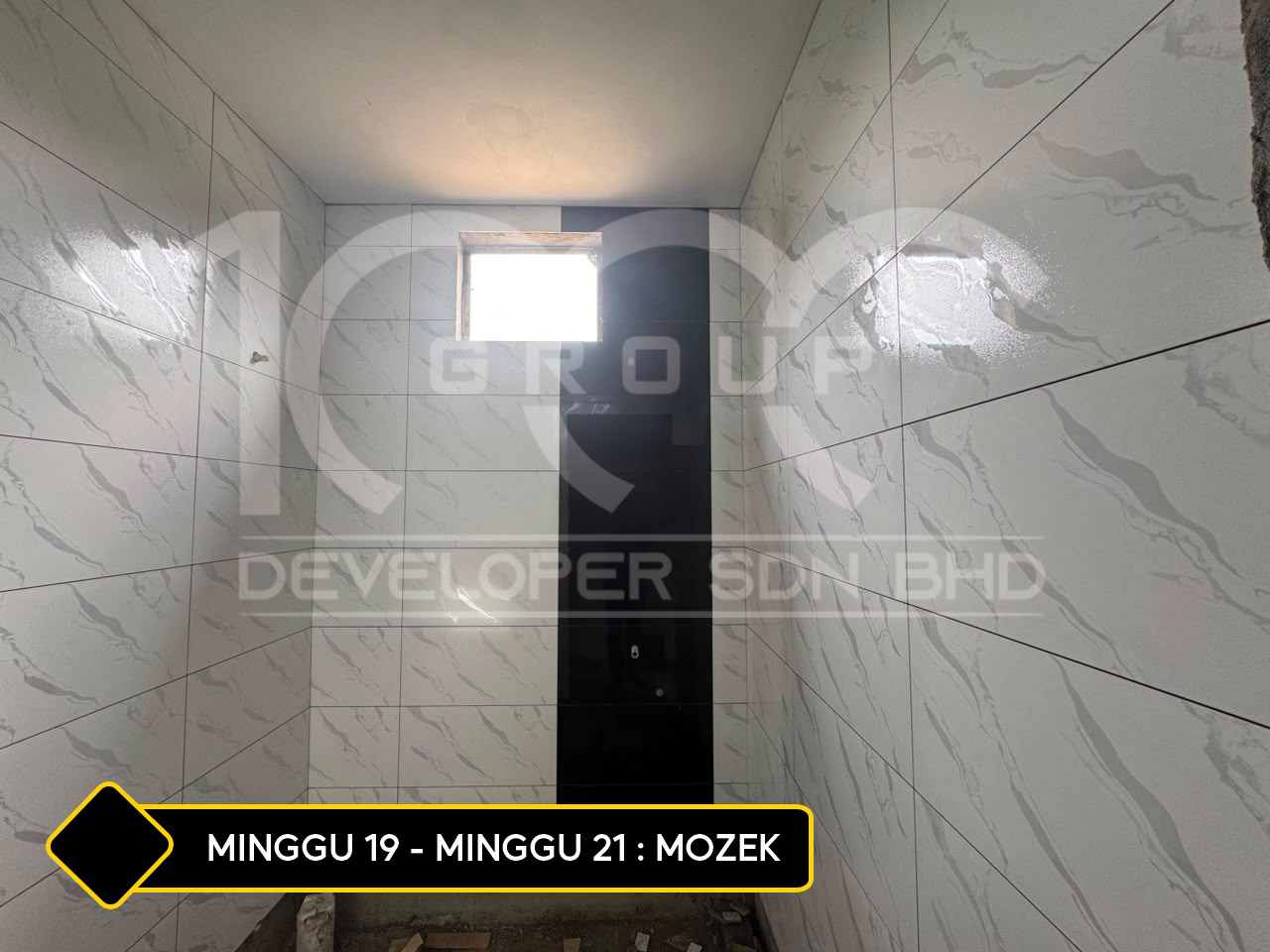 mozek noni