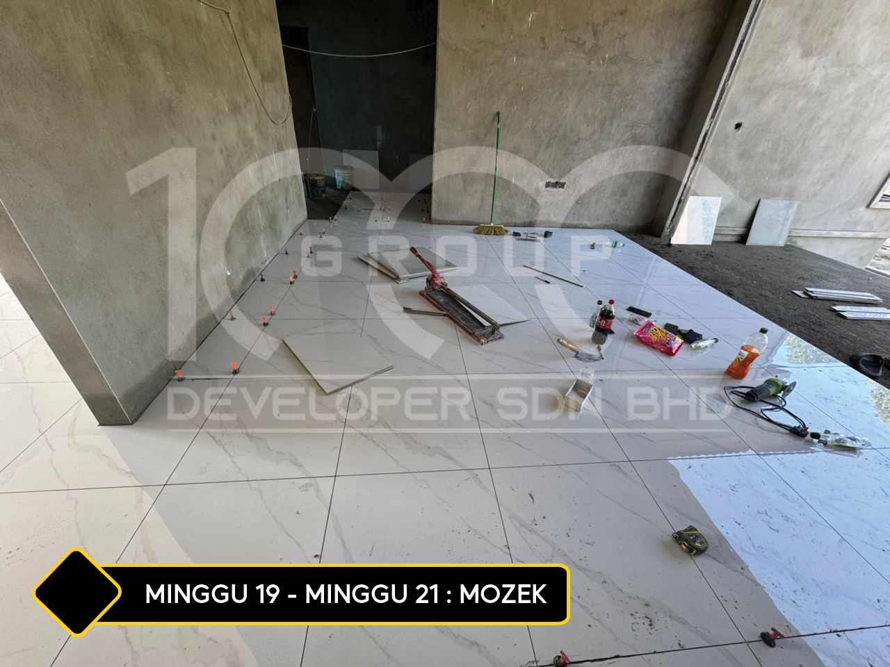 mozek nonii