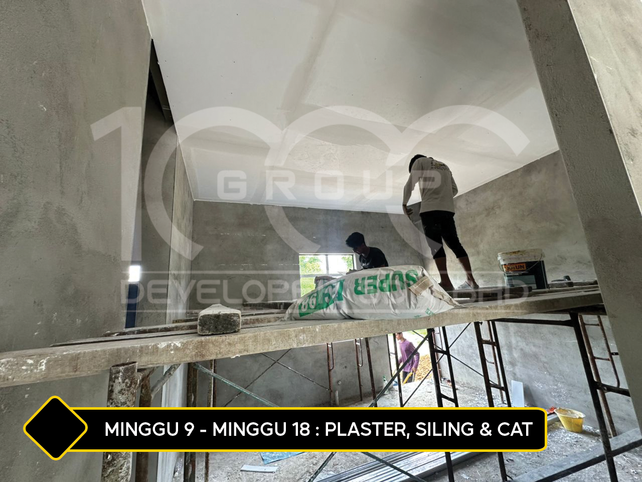 plaster siling cat nonii