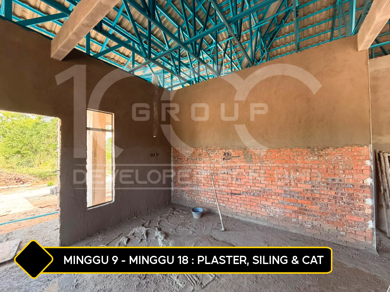 plaster siling cat